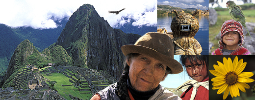Visions Of Peru - Photo Collage