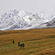 Central Tian Shan Range, Kyrgyzstan